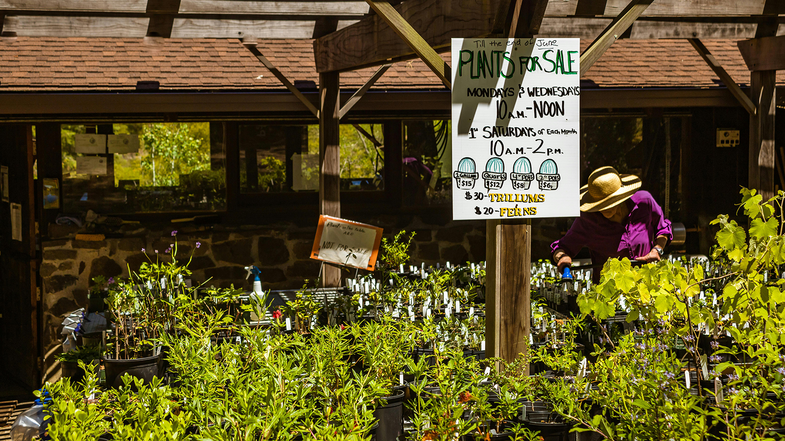 Michigan Native Plant Nurseries