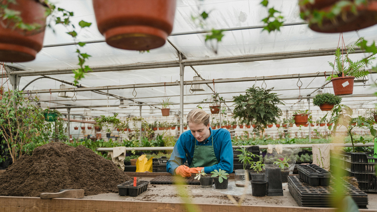 woman gardening in a nursery